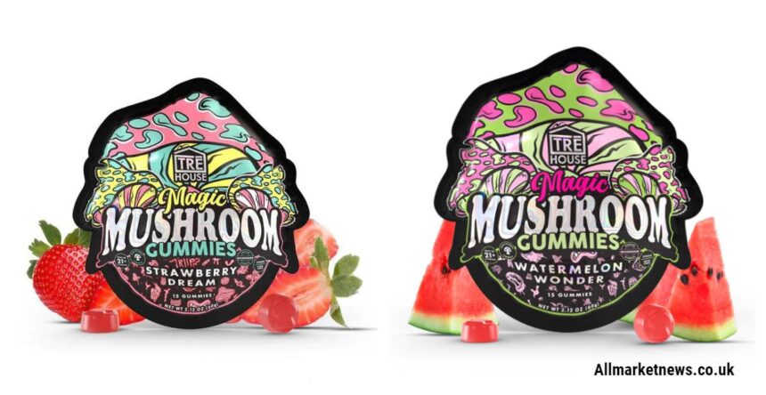 Mushroom Gummies